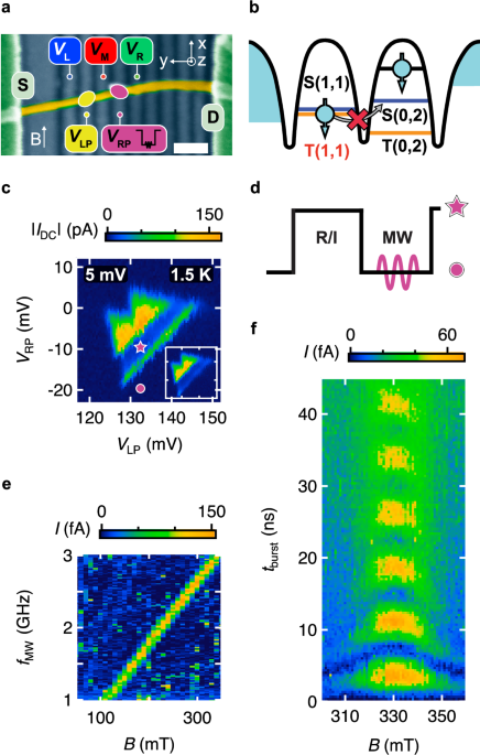 Compromise-free scaling of qubit speed and coherence