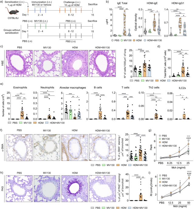 A mucosal vaccine prevents eosinophilic allergic airway inflammation by modulating immune responses to allergens in a murine model of airway disease
