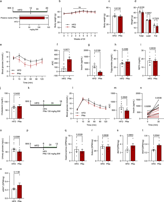 Genkwanin glycosides are major active compounds in Phaleria nisidai extract mediating improved glucose homeostasis by stimulating glucose uptake into adipose tissues