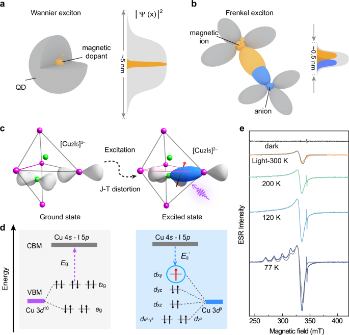 Spin-polarized self-trapped excitons in low-dimensional cesium copper halide