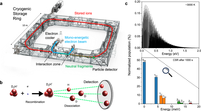 Electron recombination of rotationally cold D2H+ ions