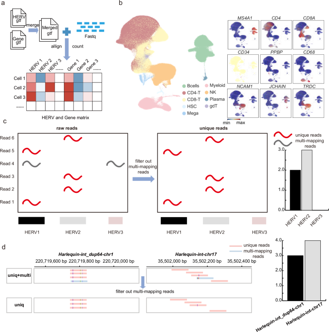 Single-cell eQTL mapping of human endogenous retroviruses reveals cell type-specific genetic regulation in autoimmune diseases