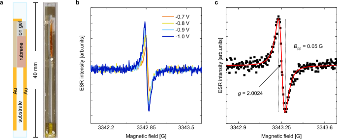 Long spin lifetimes of charge carriers in rubrene crystals due to fast transient-localization motion