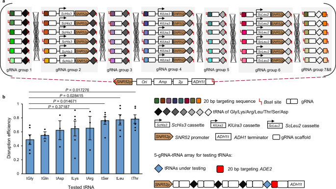 Matrix regulation: a plug-and-tune method for combinatorial regulation in Saccharomyces cerevisiae