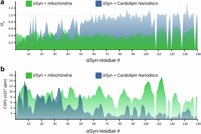 Alpha-synuclein interacts with regulators of ATP homeostasis in mitochondria