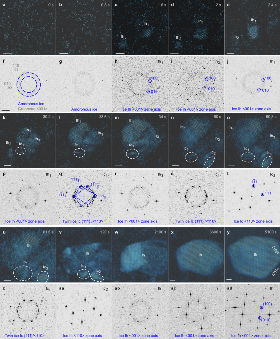 Molecularly resolved mapping of heterogeneous ice nucleation and crystallization pathways using in-situ cryo-TEM