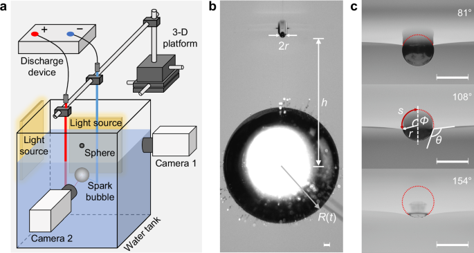 Particulate reshapes surface jet dynamics induced by a cavitation bubble