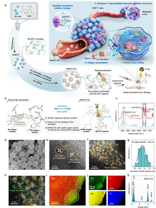 Bioinspired ruthenium-manganese-oxygen complex for biocatalytic and radiosensitization therapies to eradicate primary and metastatic tumors