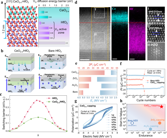 Fatigue-free ferroelectricity in Hf0.5Zr0.5O2 ultrathin films via interfacial design