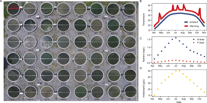 Metagenomic analysis reveals how multiple stressors disrupt virus–host interactions in multi-trophic freshwater mesocosms