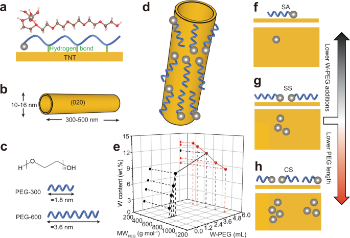 Polymer-guided grafting of single W atoms onto titanate nanotubes increases SERS activity in semiconductors