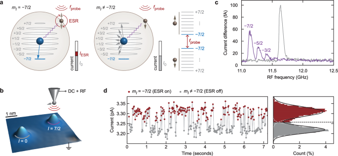 Single-shot readout of the nuclear spin of an on-surface atom