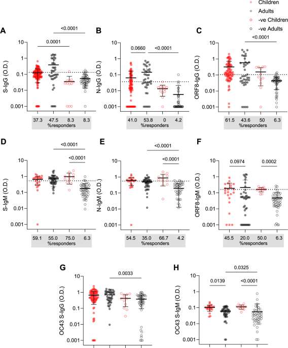 SARS-CoV-2 antibody responses in children exhibit higher FcR engagement and avidity than in adults