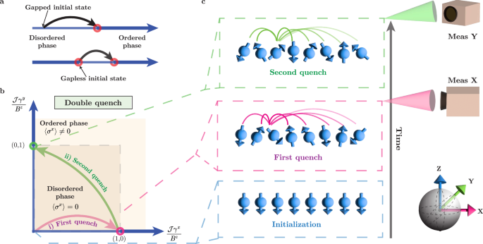 Non-equilibrium critical scaling and universality in a quantum simulator