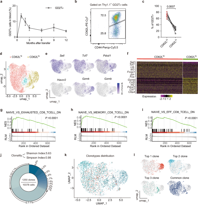 GD2TIF cells as a platform for single-dose and long-term delivery of biologics