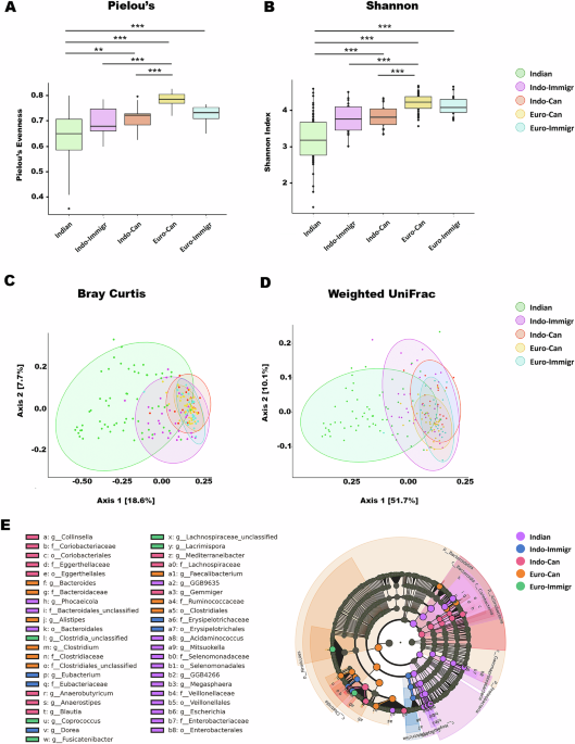 The adoption of a westernized gut microbiome in Indian Immigrants and Indo-Canadians is associated with dietary acculturation