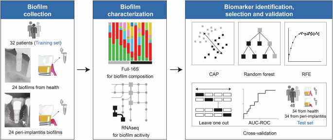 Integrative microbiome- and metatranscriptome-based analyses reveal diagnostic biomarkers for peri-implantitis