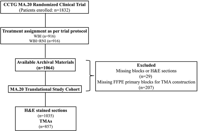 Prognostic and predictive capacity of tumor infiltrating lymphocytes in the MA.20 regional node radiotherapy trial