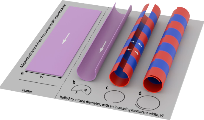 Azimuthal anisotropy induced by partial flux-closure in self-assembled tubular permalloy membranes