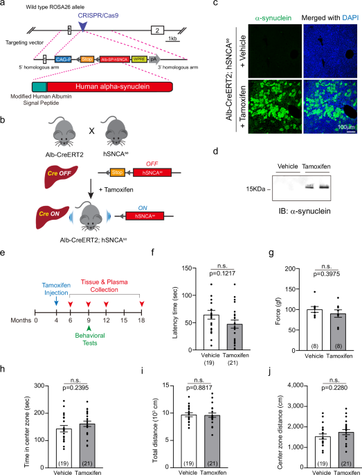 Elevated plasma levels of alpha-synuclein are dispensable for Parkinson’s disease pathology