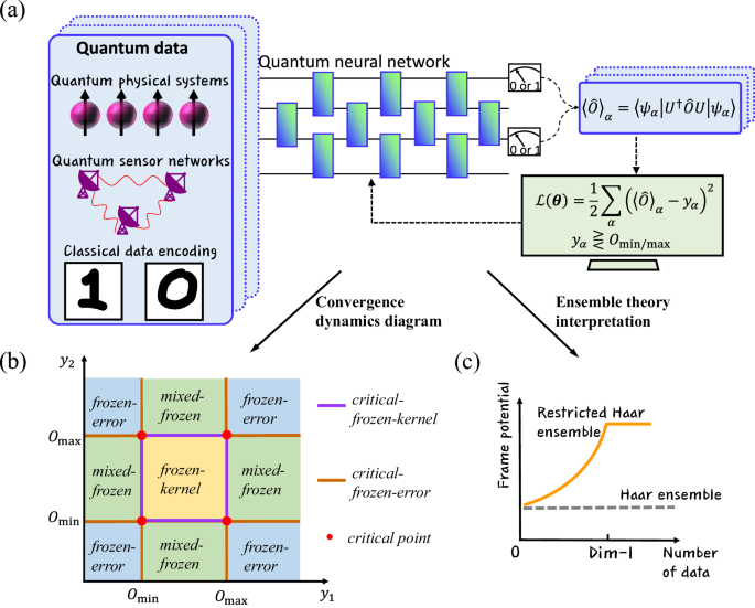 Quantum-data-driven dynamical transition in quantum learning