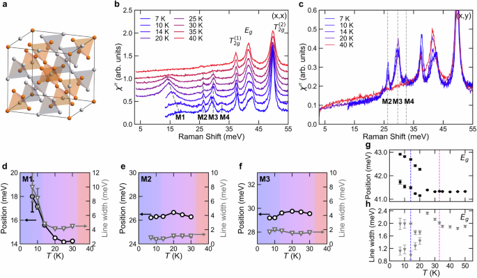 Ramification of complex magnetism in Nd2Ir2O7 observed by Raman scattering spectroscopy