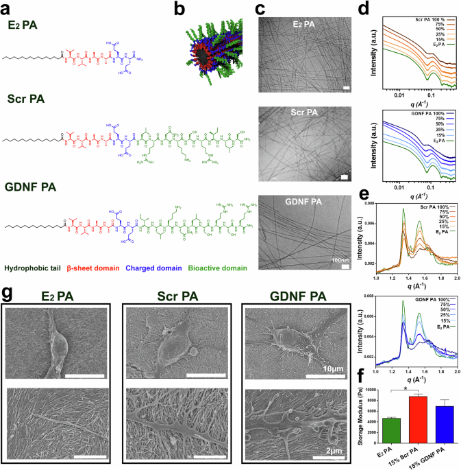 Supramolecular nanostructure mimics GDNF trophic effects in vitro on human dopaminergic neurons