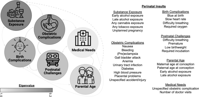 Perinatal insult dimensions and developmental trajectories of psychotic-like experiences