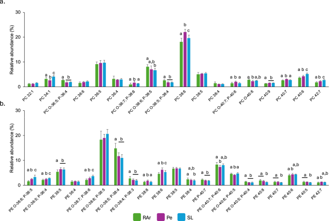 Lipidomic signatures in Octopus vulgaris arm muscle reveal geographic variation along the Iberian Atlantic Coast
