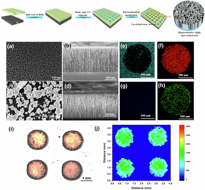 Silver coated porous silicon microarray SERS platform for detecting aflatoxin B1 fumonisin B1 and ochratoxin A