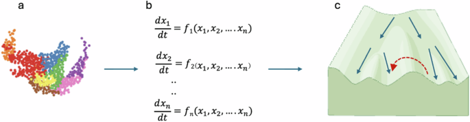Dynamical systems theory as an organizing principle for single-cell biology