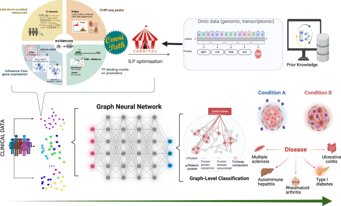 Causality-aware graph neural networks for functional stratification and phenotype prediction at scale