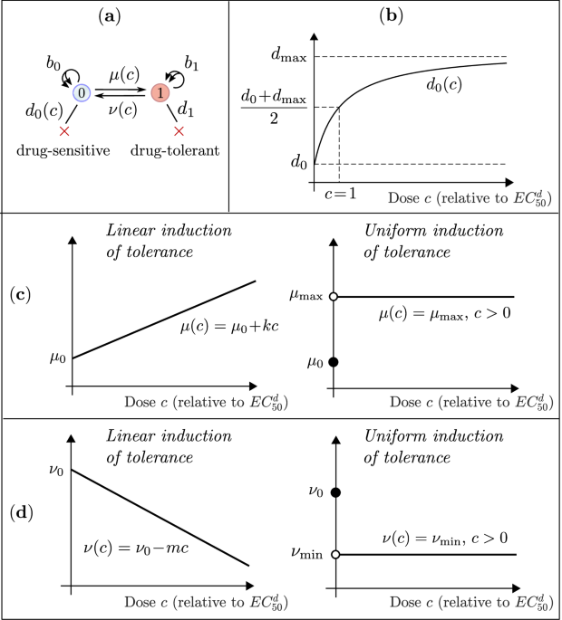 Optimal dosing of anti-cancer treatment under drug-induced plasticity