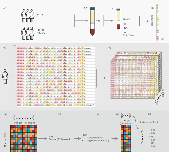 Breast cancer is detectable from peripheral blood using machine learning over T cell receptor repertoires