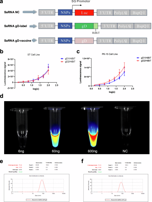 A self-amplifying mRNA vaccine expressing PRV gD induces robust immunity against virulent mutants