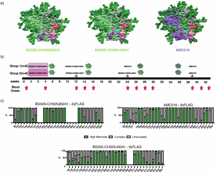 Immunofocusing on the conserved fusion peptide of HIV envelope glycoprotein in rhesus macaques