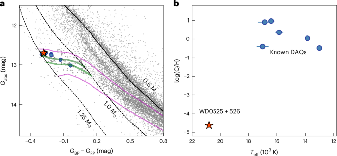 A hot white dwarf merger remnant revealed by an ultraviolet detection of carbon