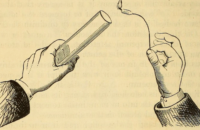 The making of virtuous chemists