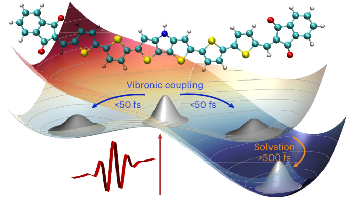 Vibronic coupling-driven symmetry breaking and solvation in the photoexcited dynamics of quadrupolar dyes