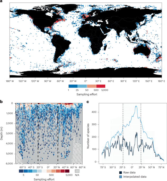 Deep-sea-floor diversity in Asteroidea is shaped by competing processes across different latitudes and oceans