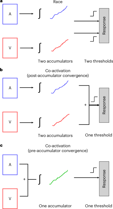 Distinct audio and visual accumulators co-activate motor preparation for multisensory detection