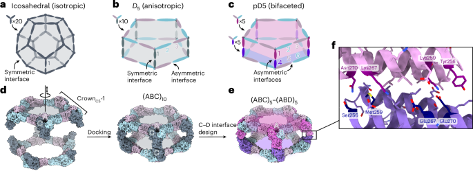 Computational design of bifaceted protein nanomaterials