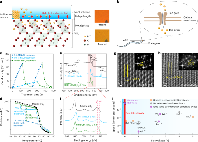Memsensing by surface ion migration within Debye length