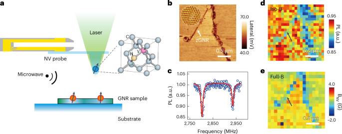 Signatures of magnetism in zigzag graphene nanoribbons embedded in a hexagonal boron nitride lattice