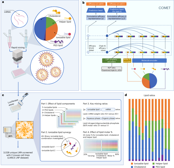 Designing lipid nanoparticles using a transformer-based neural network