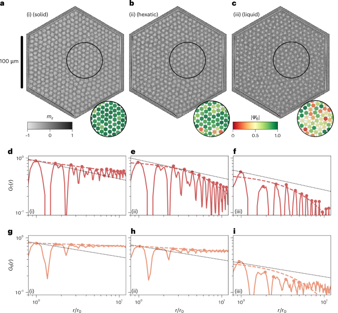 Real-time observation of topological defect dynamics mediating two-dimensional skyrmion lattice melting