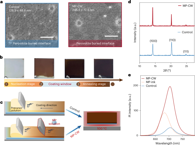 In situ coating strategy for flexible all-perovskite tandem modules