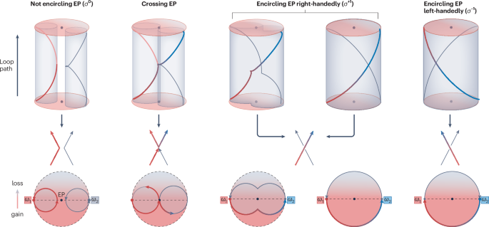Magnon-polaritons dance around exceptional points