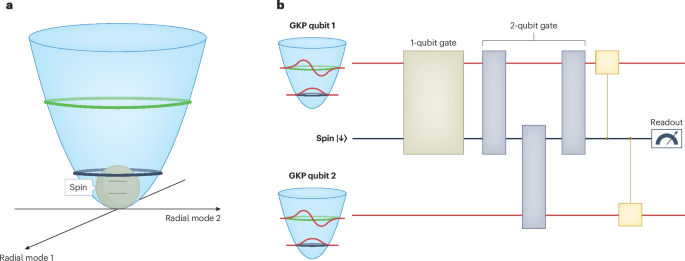 Quantum logic with bosonic error correction