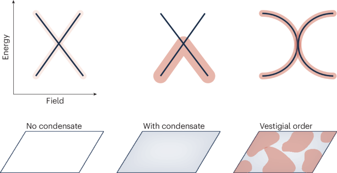 Evasive condensate caught by fingerprints
